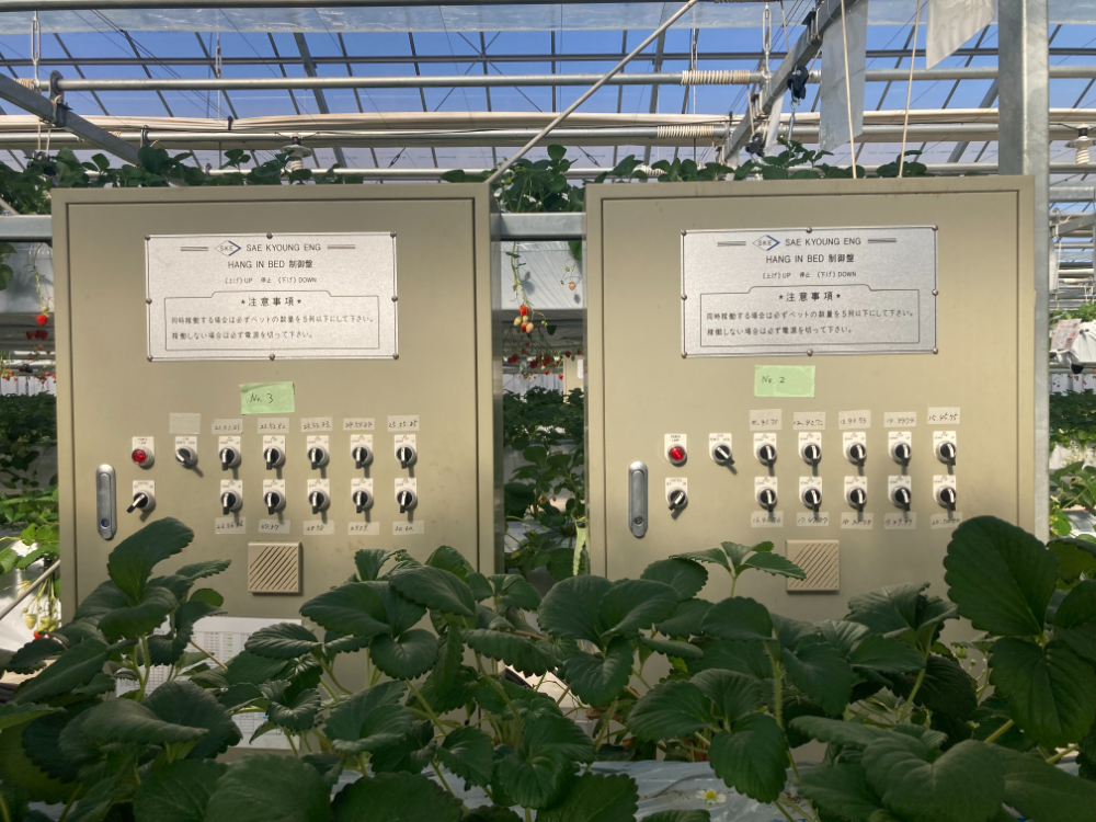 ビニールハウス建設工事