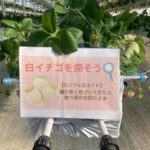 ビニールハウス建設工事