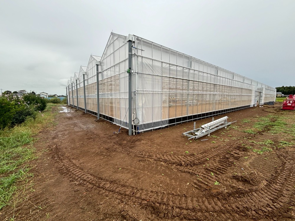 ビニールハウス建設工事画像6