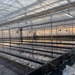 ビニールハウス建設工事画像10